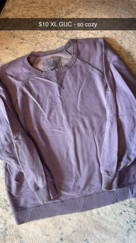 Purple Crewneck Sweatshirt GUC